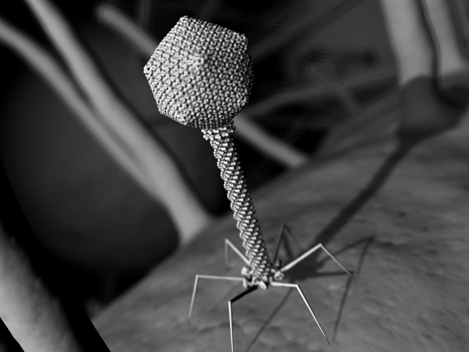 Render of a bacteriophage on bacteria